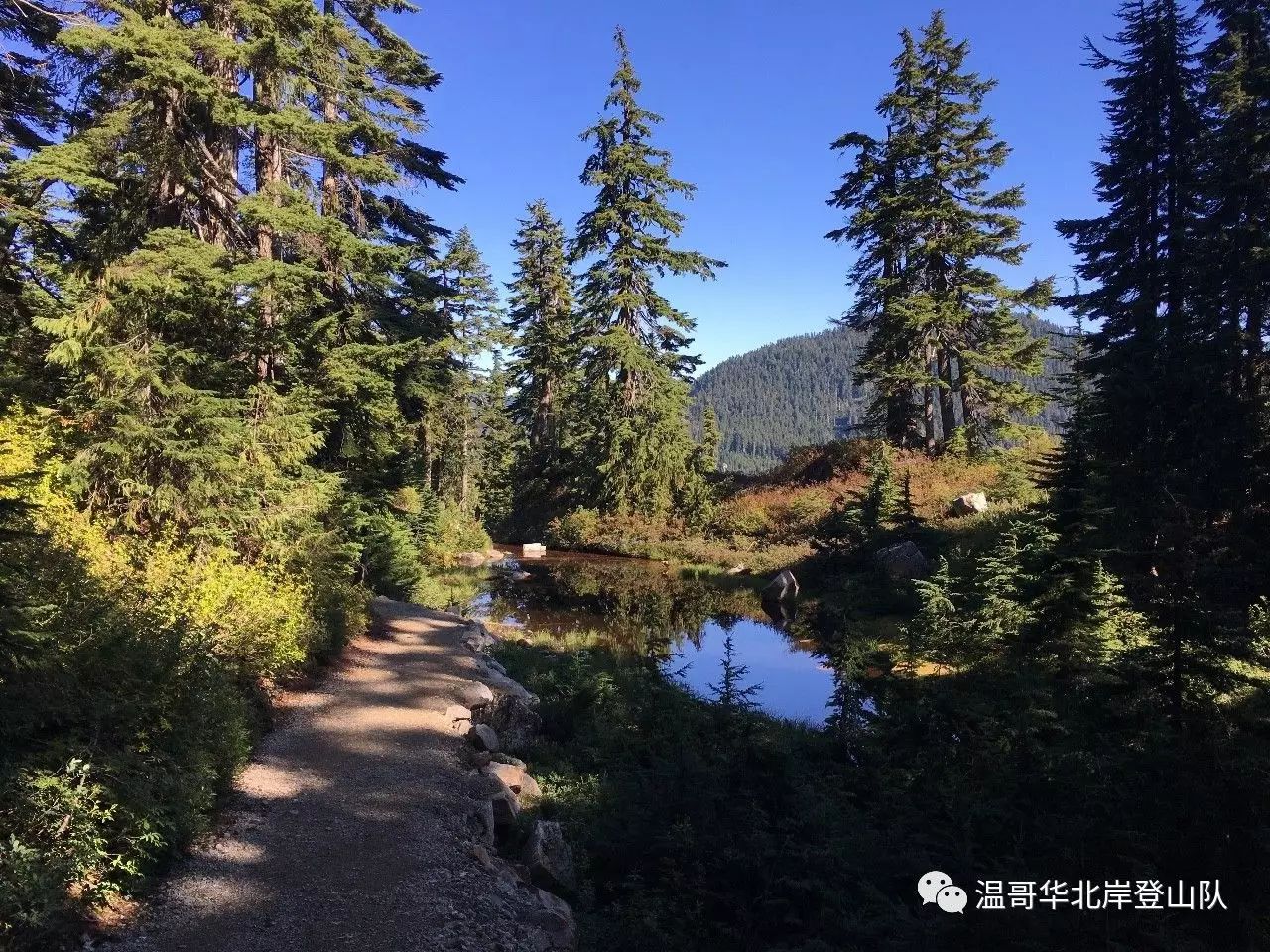 海滨雪豹队鏖战漠南暴熊队，斯诺克联赛爆冷，转换速度占优。球迷期待下一战(海豹突击队120集)