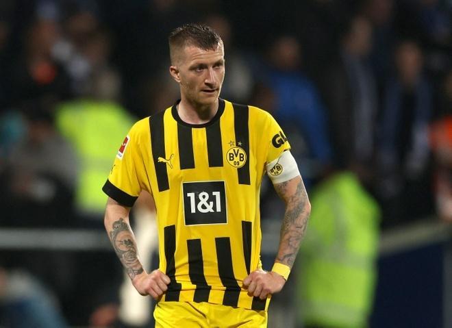 开云官方网站-转会期体能课后，新奥尔良鹈鹕迎来里程碑备战德国杯，话题不断，轮换策略成焦点(新奥尔良鹈鹕vs萨克拉门托国王)